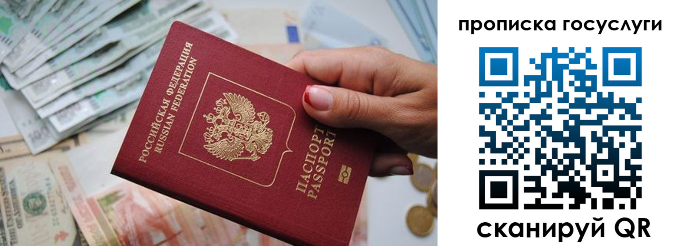 прописка поиск в Ступино